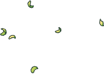 bg